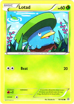 Lotad