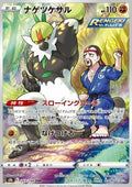 Passimian